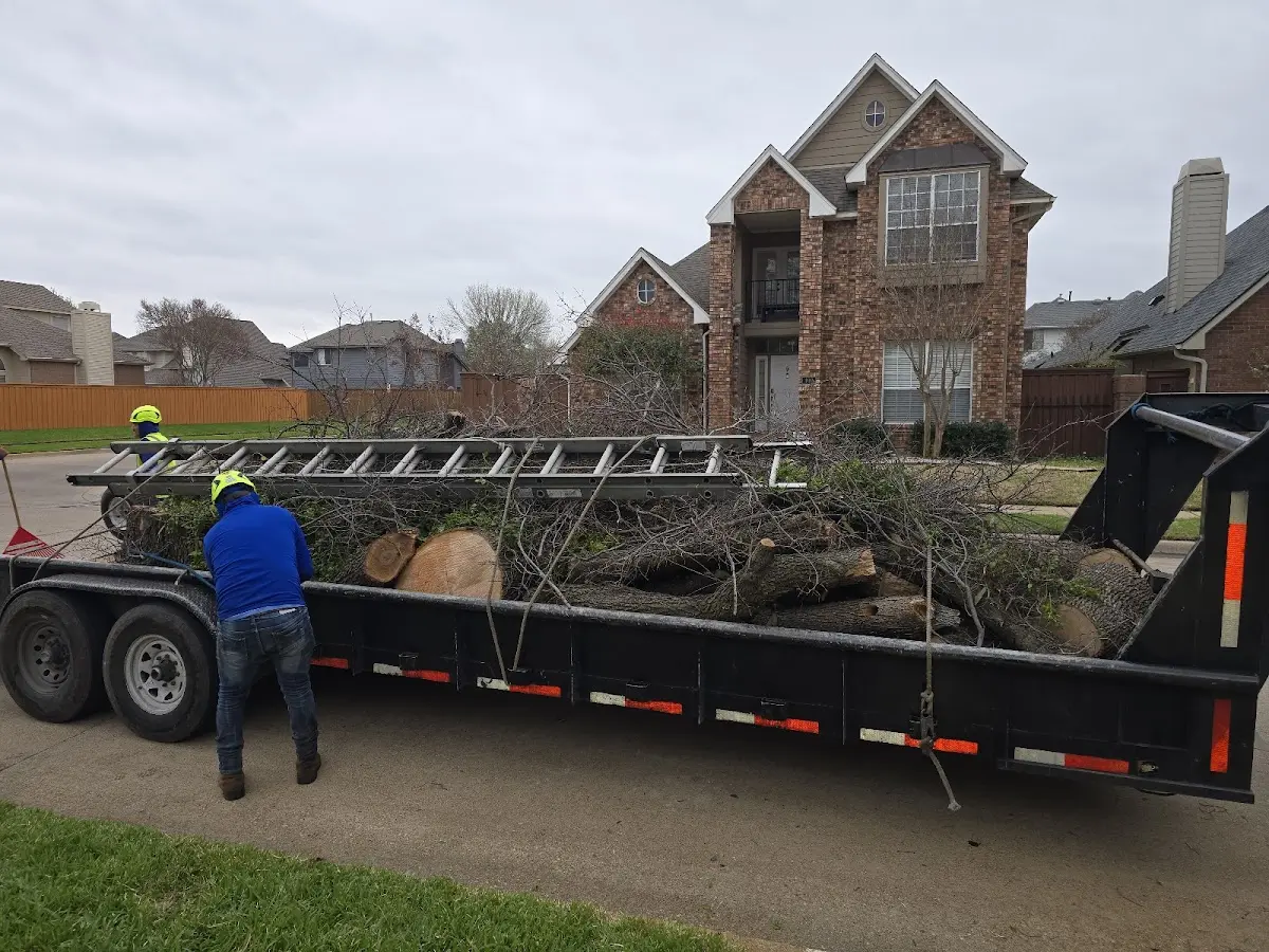 Expert Lot Clearing with proper safety equipment in East Chicago